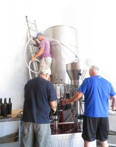 wine bottling cabernet sauvignon