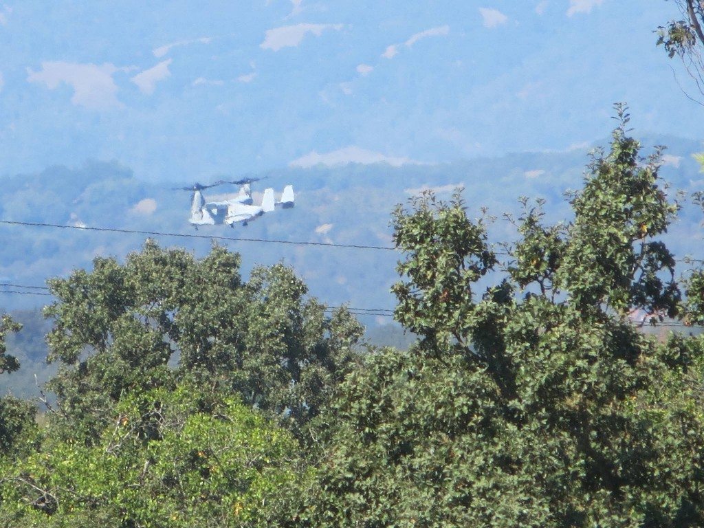 Harvest and airshow