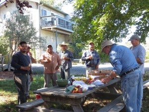 Harvest fiesta