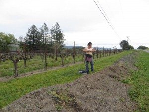 Roadside Berm Beautification Project