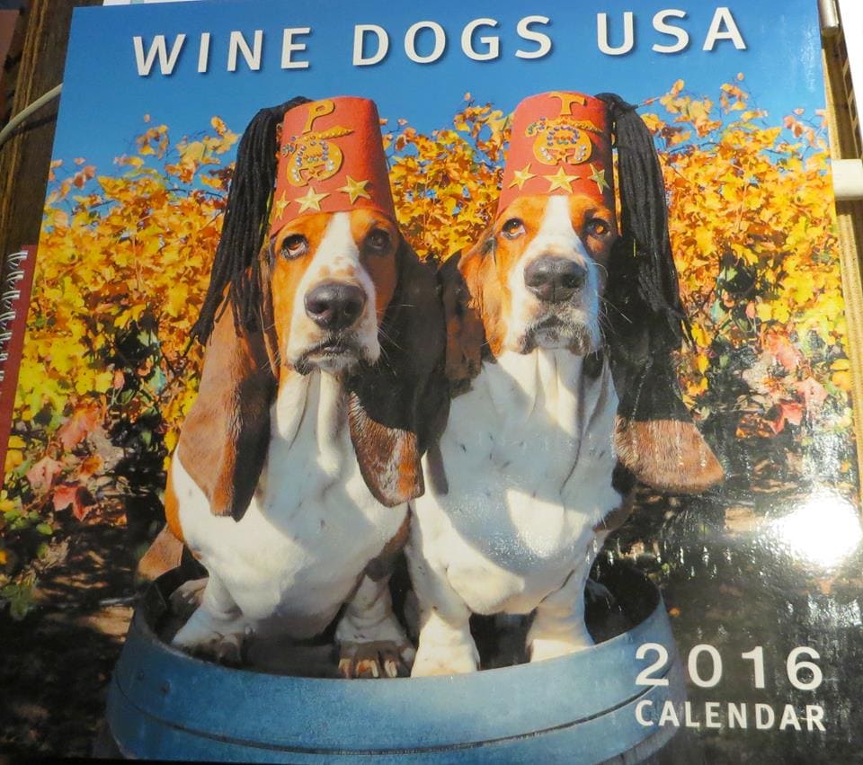 Wine Dogs