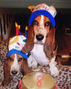 Happy 8th Birthday Dear Thornton & Presley