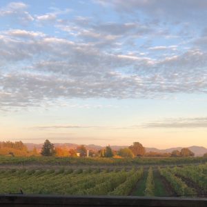 beautiful autumn sky